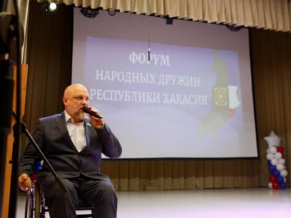 Торжественная встреча народных дружин в Подсином