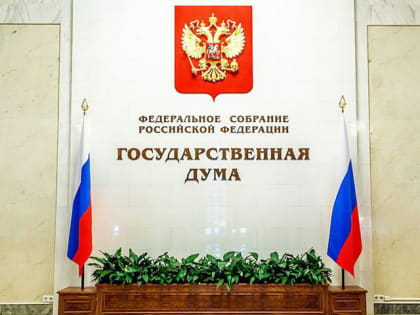 За несогласованный вояж за рубеж депутат Госдумы лишится мандата