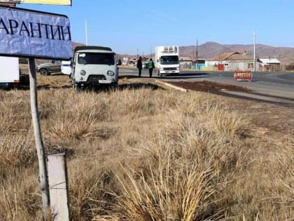 Весь скот изымут в селе Хакасии из-за экзотической болезни