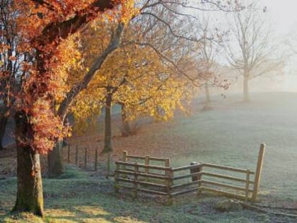 Погода в Хакасии 12 октября: Готовимся к переменам