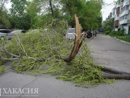 В Хакасию идет сильный и опасный ветер