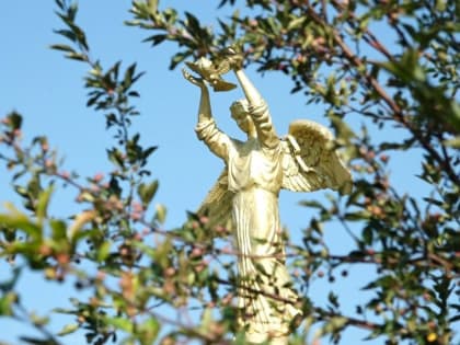 День памяти детей — жертв войны на Донбассе