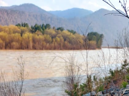 Уважаемые абазинцы!