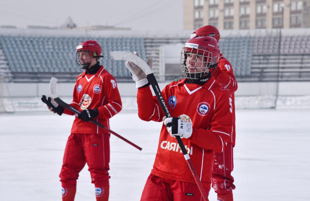 Хоккейная команда реванш