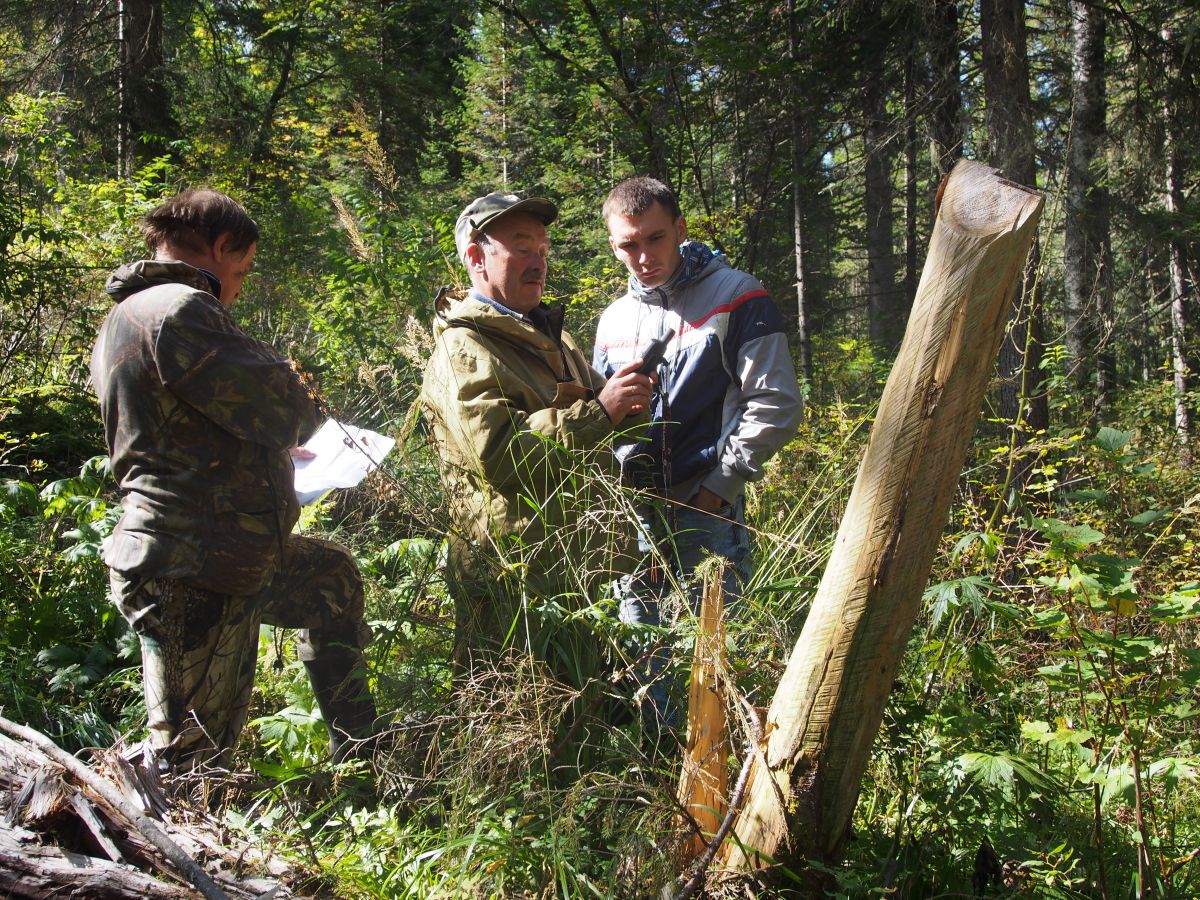 Министерство лесного хозяйства Республики Хакасия