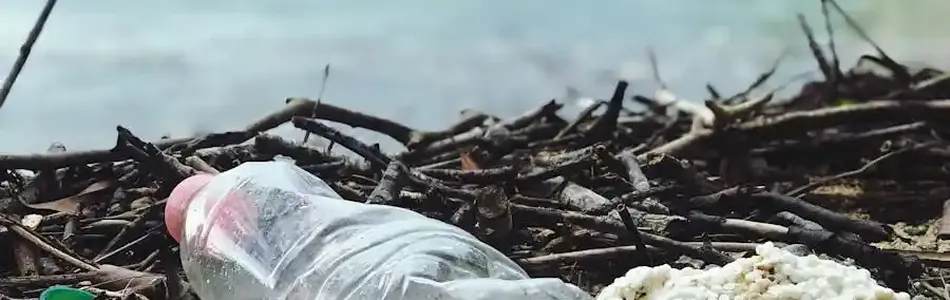 Would the island of Bali succeed in a battle against plastic pollution?