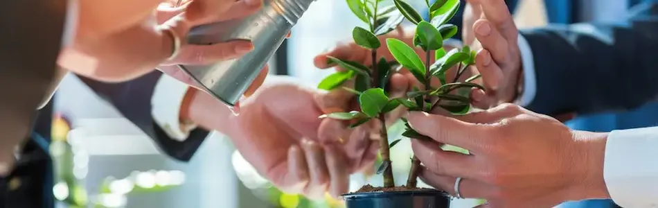 Sustainable Business Practices and Corporate Social Responsibility