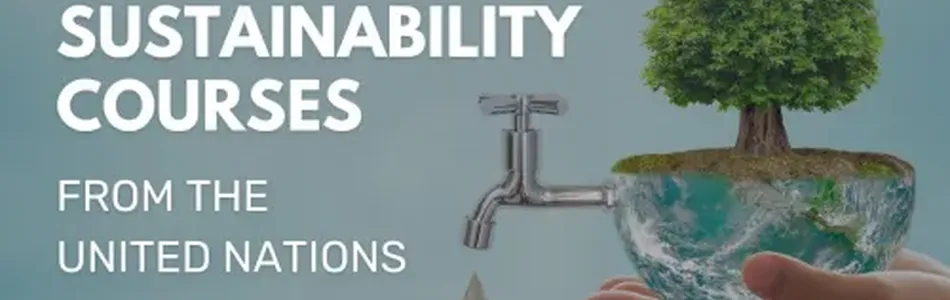 United Nations Launches Free Sustainability Education Courses: A Step Towards a Greener Future