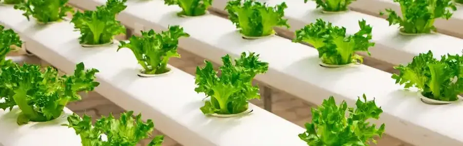 Agri-Tech Solutions Against Climate Change in Farming