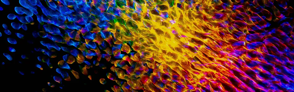 How AI is Making the Circular Economy Actually Work