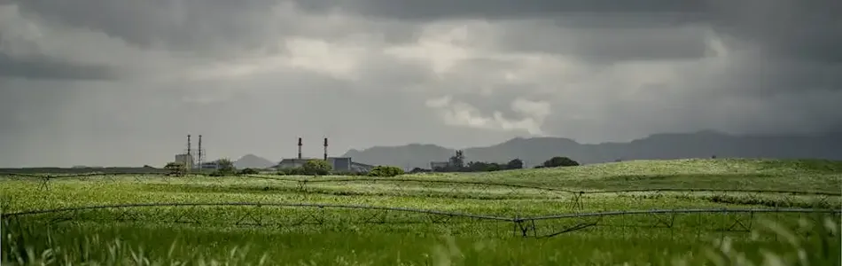 Carbon Farming: The Way Farmers Can Make a Profit from Sustainability