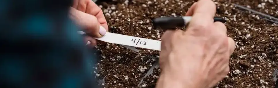 Precision Farming: The Future of Sustainable Agriculture in 2024