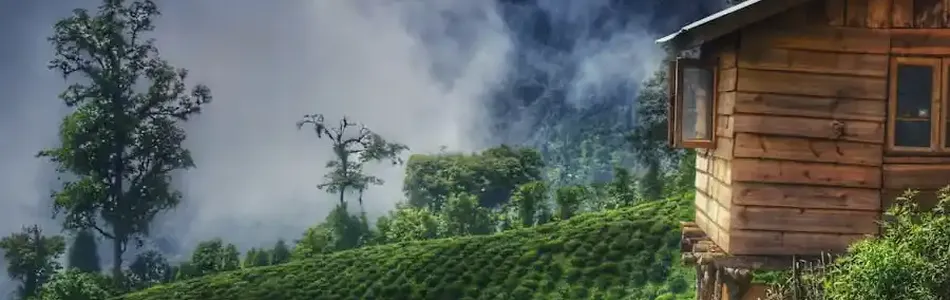 Road to Sikkim: towards the first fully organic state in the world.