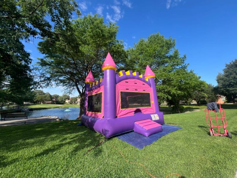 Pink Bounce Castle