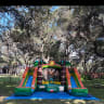 Tropical Bouncer with TWO Slides view 4