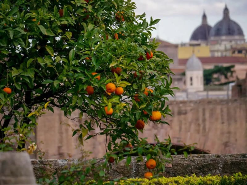 Giardino degli Aranci (Orange Garden) 2