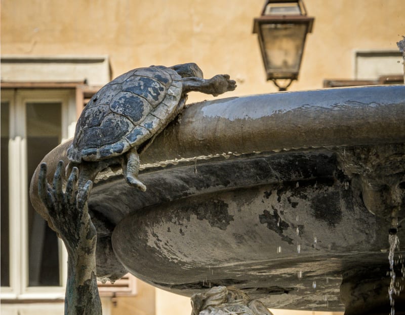 Fontana delle Tartarughe (Turtle Fountain) 1