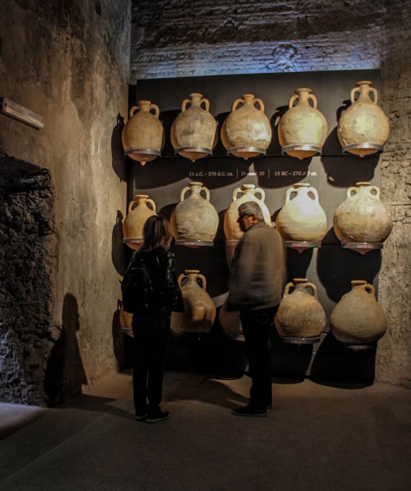 Museum of the Imperial Forums (Forum Antiquarium)
