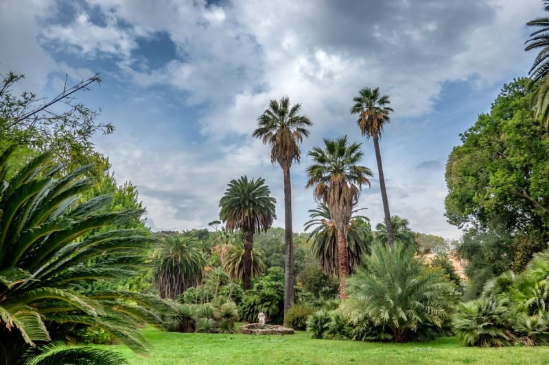 Botanical Garden of Rome (Orto Botanico) 1