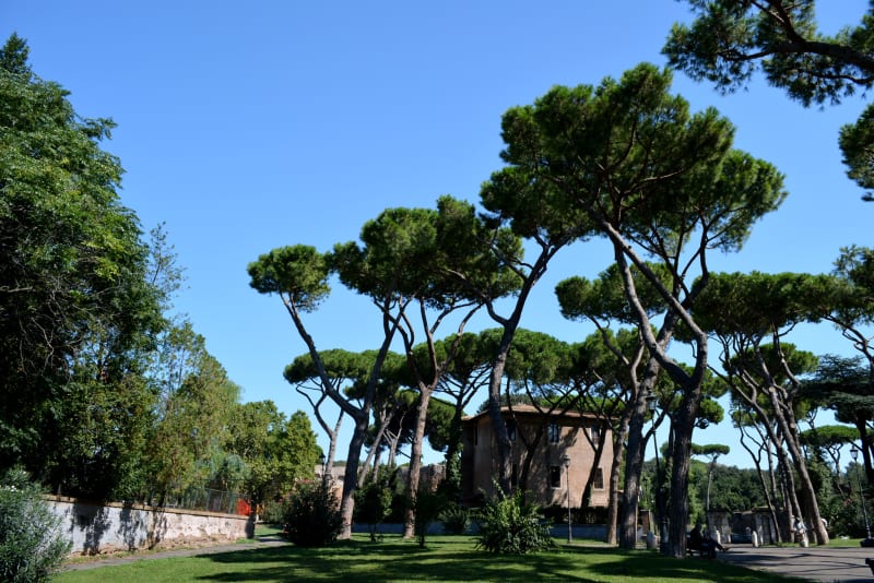Colle Oppio Park (Parco del Colle Oppio)