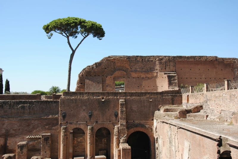 Palatine Hill 3