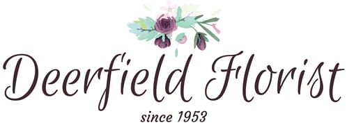 Company Info