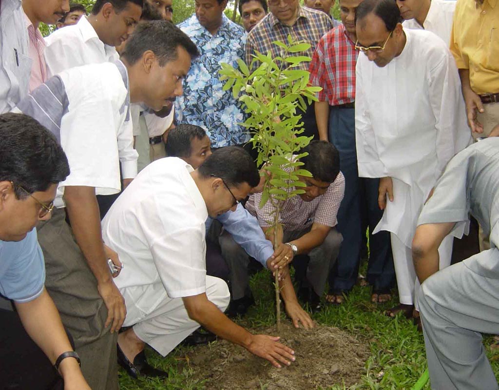 জিয়াউর রহমান ফাউন্ডেশন কর্তৃক সামাজিক বৃক্ষরোপণ কর্মসূচি