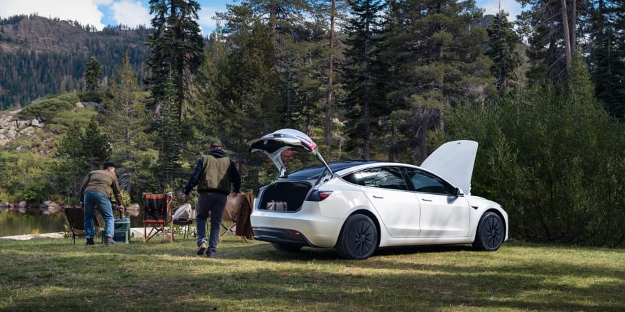 Model 3 Standard Affordable