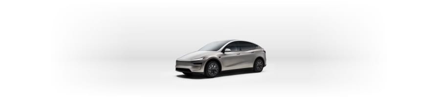 Model Y L