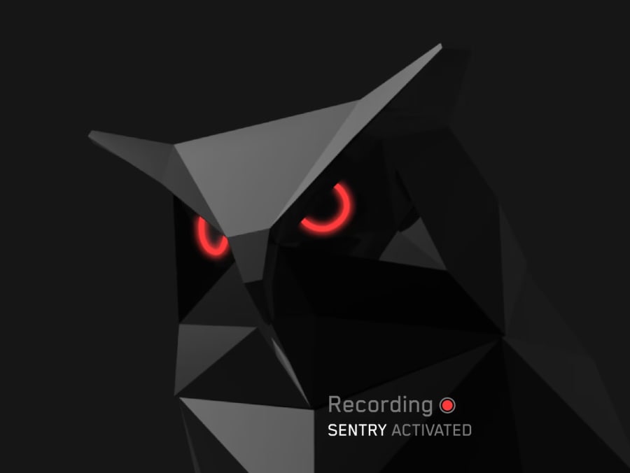 View when Sentry Mode is activated