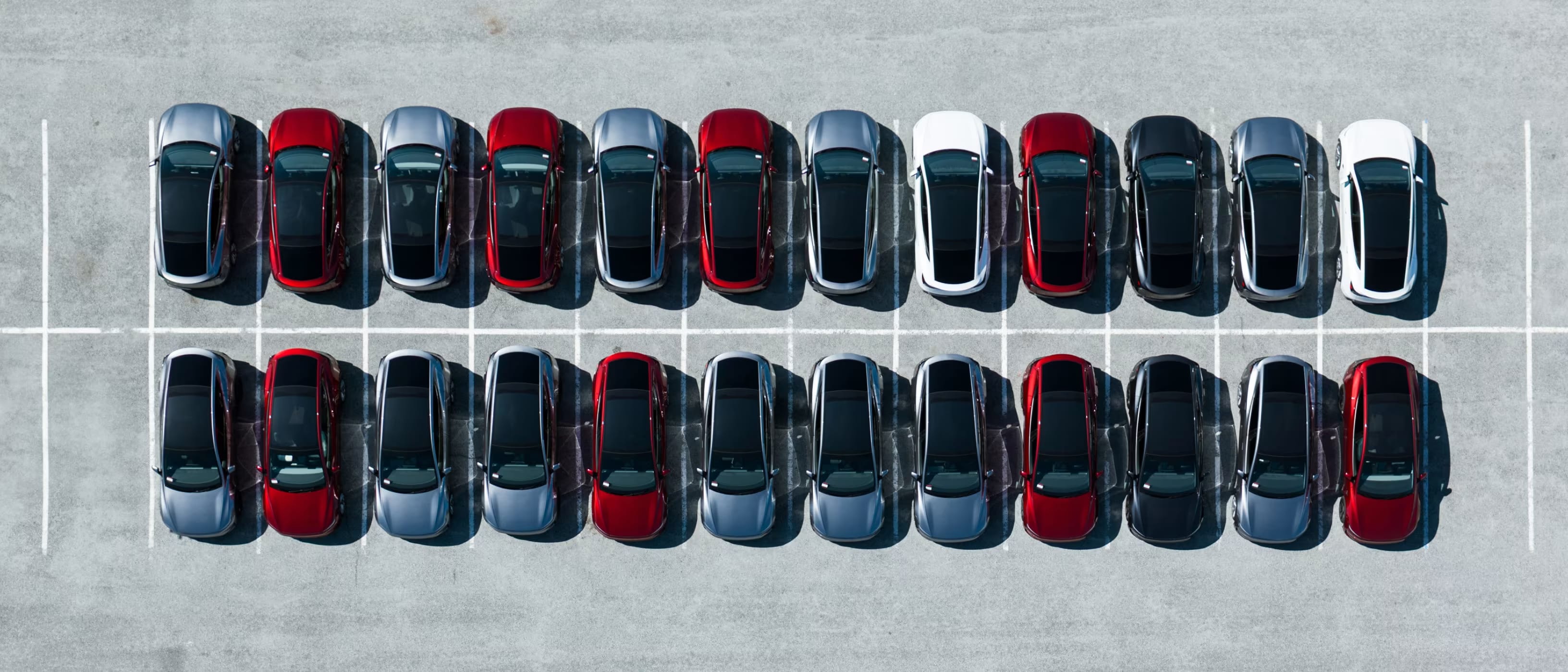 Tesla fleet