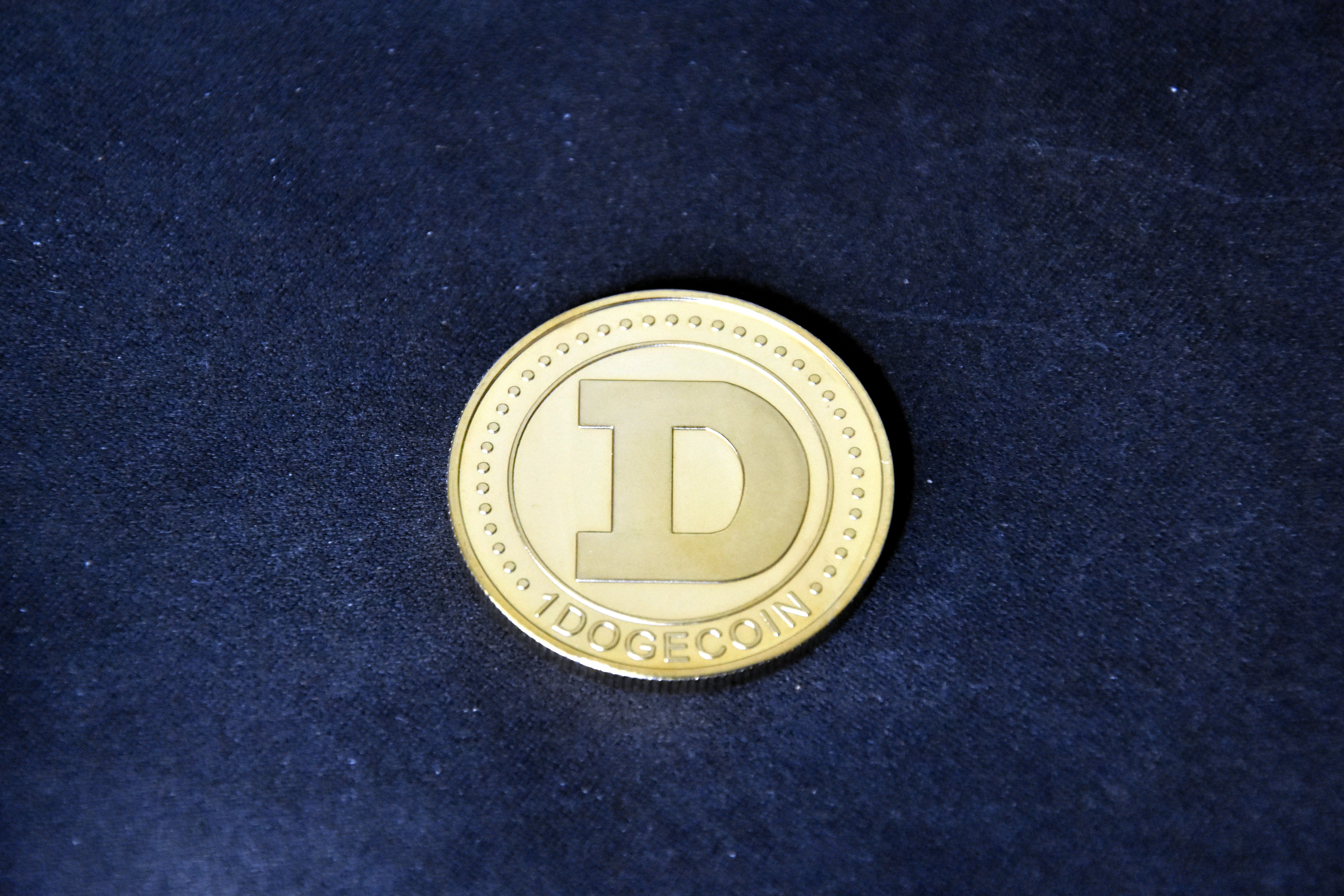 Dogecoin Reserve Fund