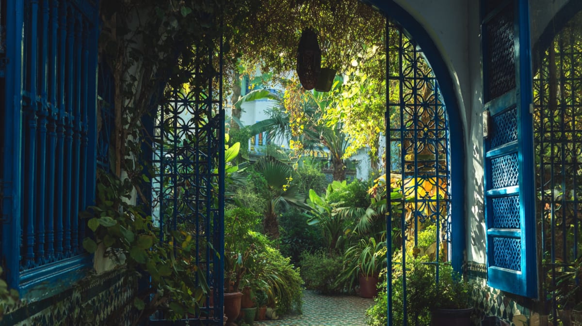 The Light That Changed Color