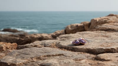 The Purple Traders