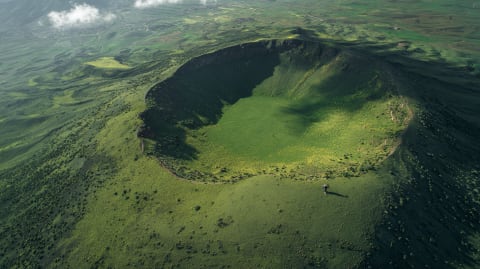 The Volcano Under the Cedar Trees