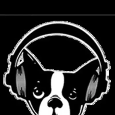 Snarky Puppy