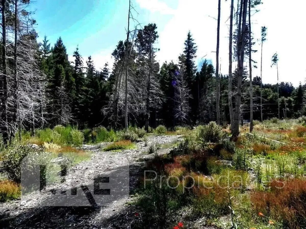 Terreno en venta sobre Avenida Bustillo, Bariloche