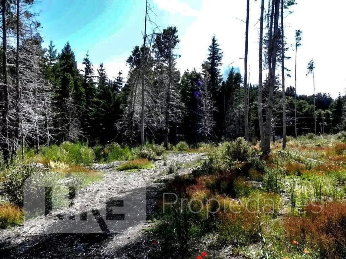 Terreno en venta en Avenida Bustillo km 21, Bariloche