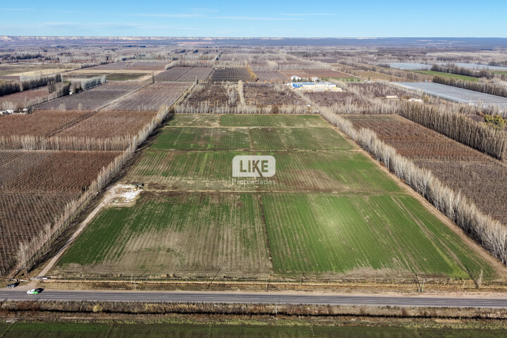Lote agrícola de 125.000 m² en Ruta 65, Juan José Gómez