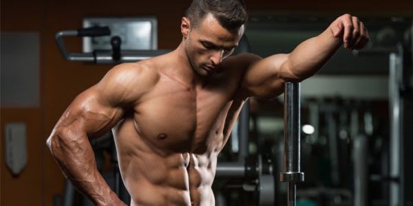 Muscle recovery builds bigger muscles