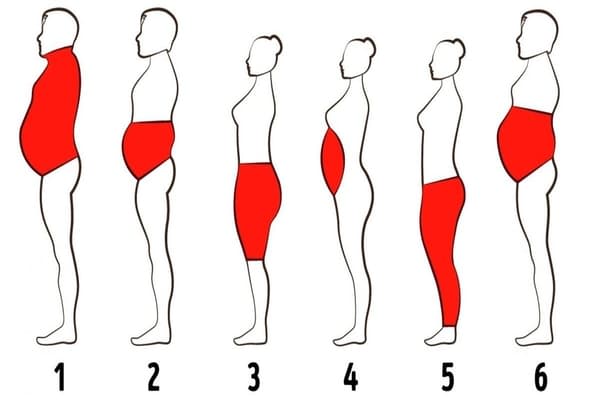 kinds_of_body_fat