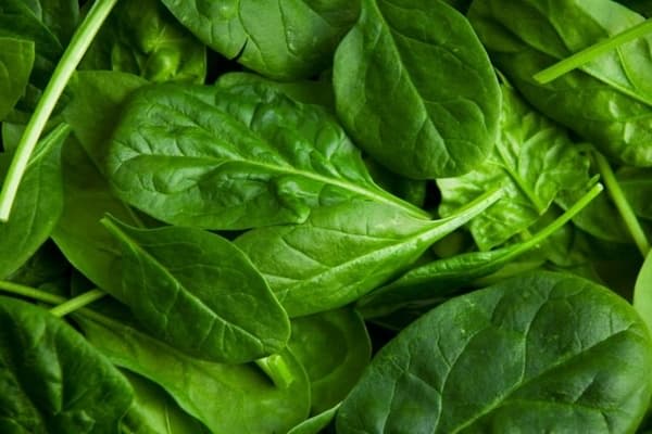 spinach_to_reduce_fat