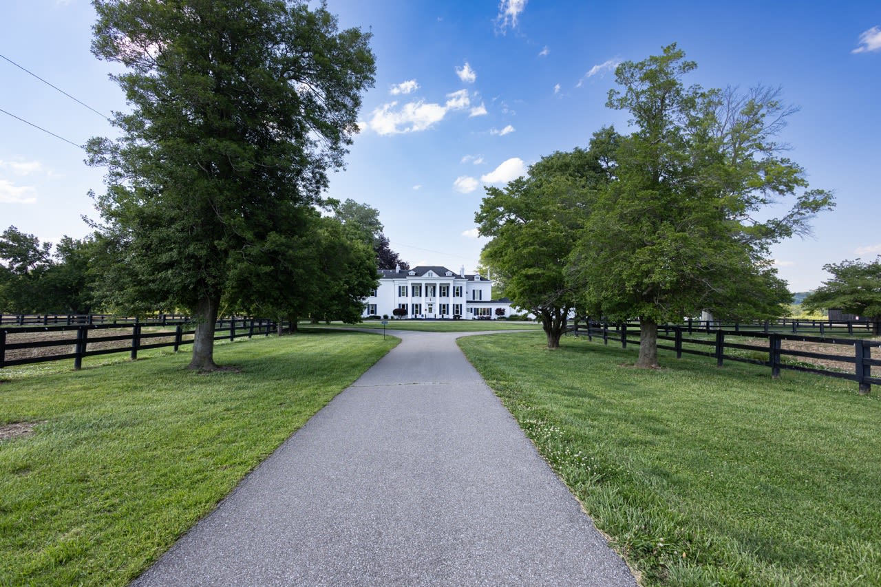 Tree Lined Path To Historic Inn Large