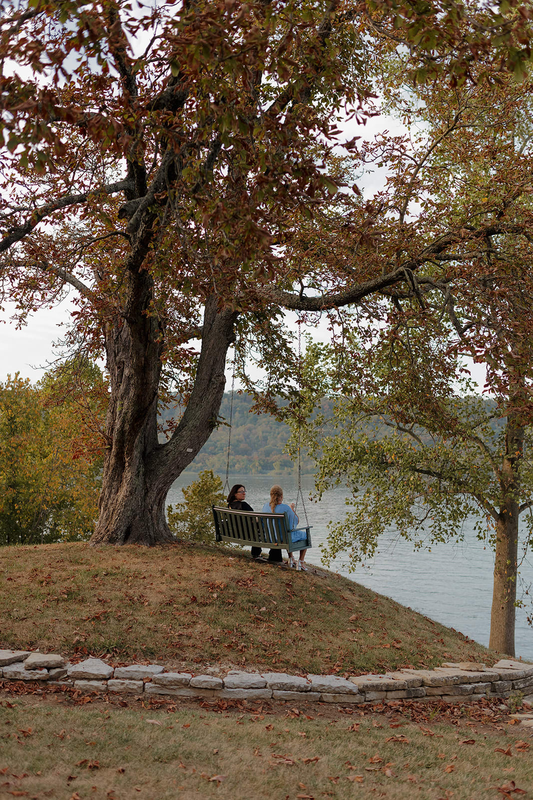 Waterfront River View Tree Swing