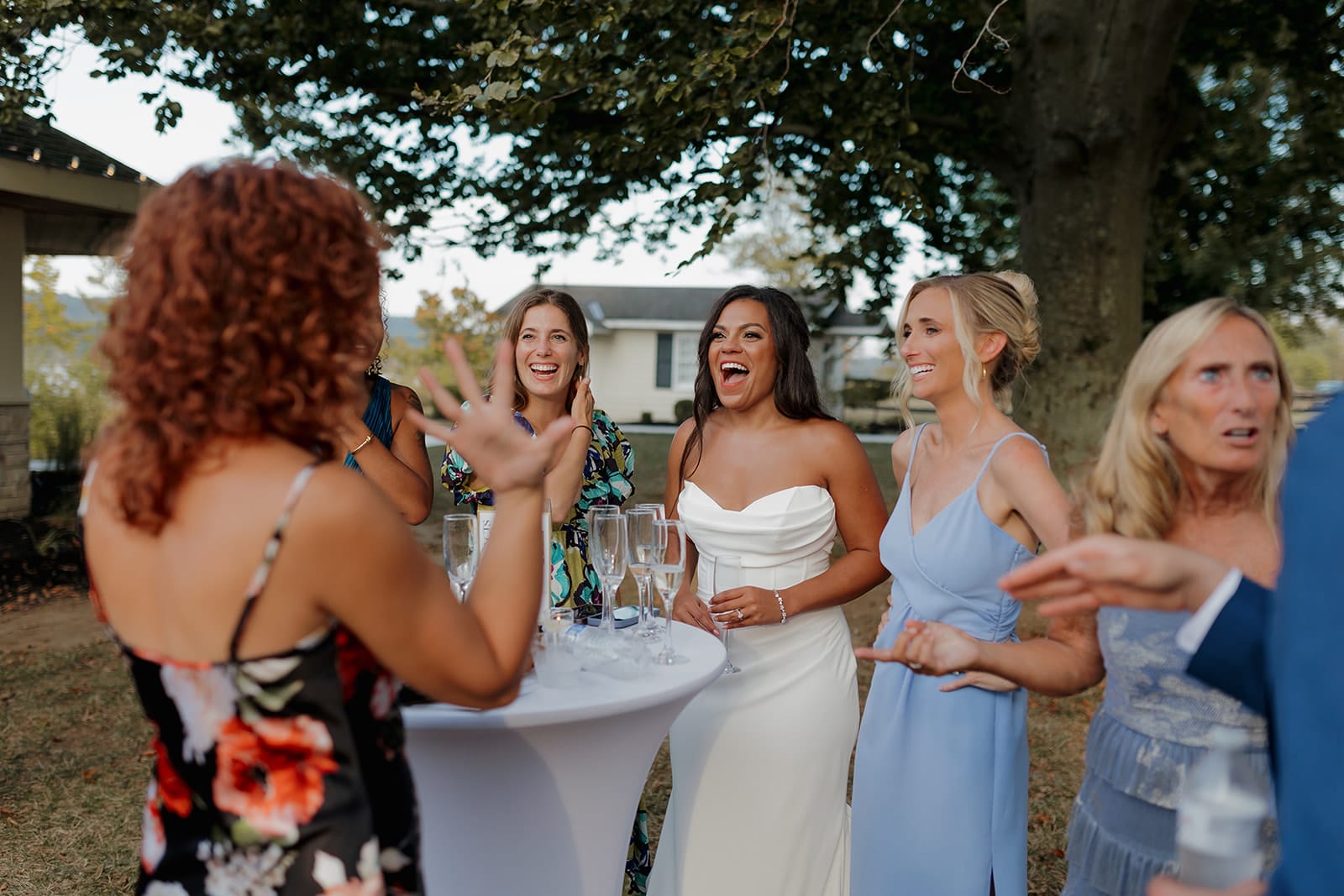 Wedding Guests Cocktail Hour Estate Lawn