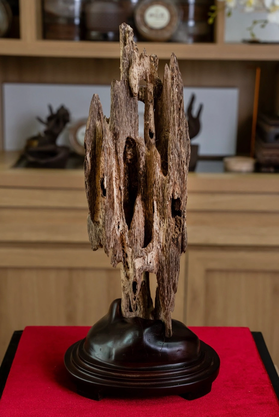 Khối Trầm Hương Trang Trí Mini – Đặt Bàn – Dáng Thiên Nhiên Hoang Dã Cao 42 cm