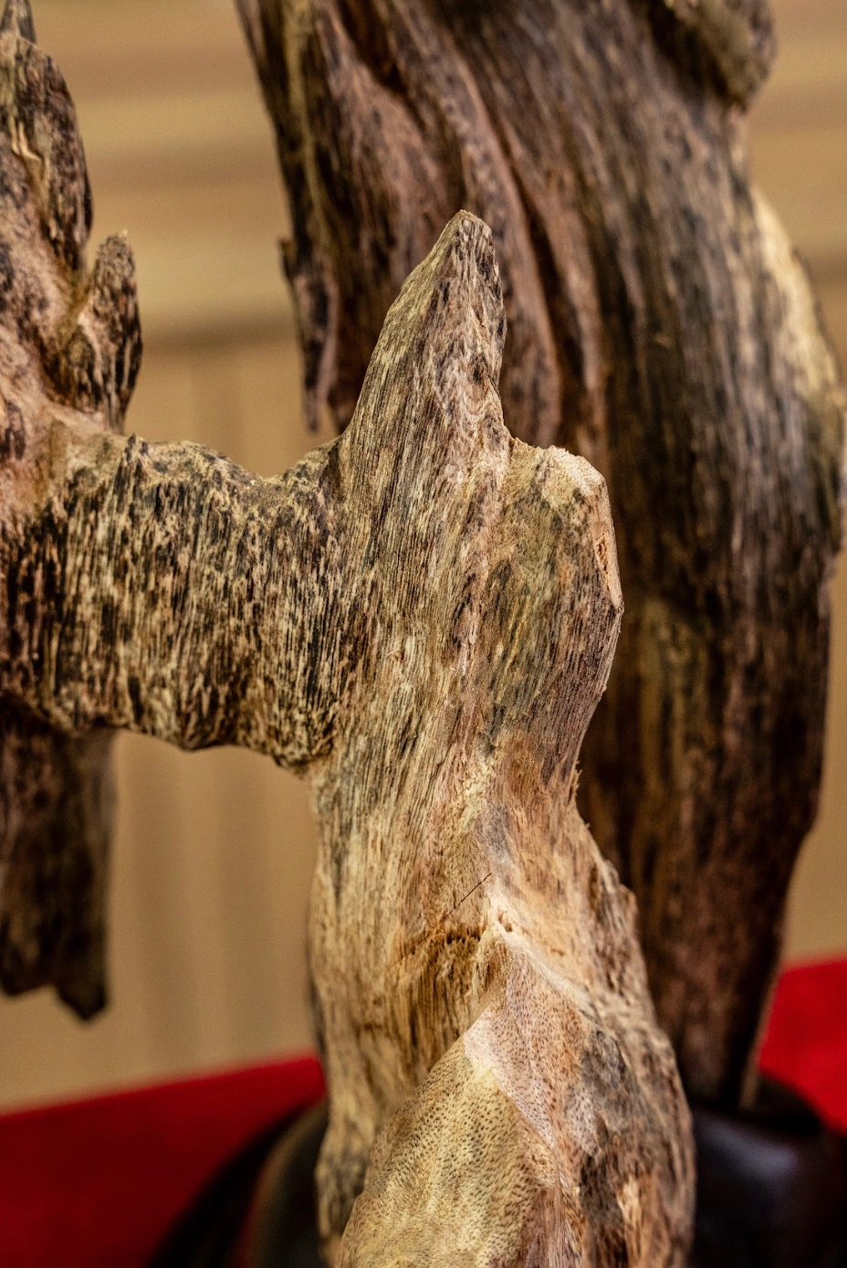 Trầm Hương Cảnh Tự Nhiên Mộc Trầm – Nguyên Khối – Độc Bản Núi Rừng Cao 53 cm