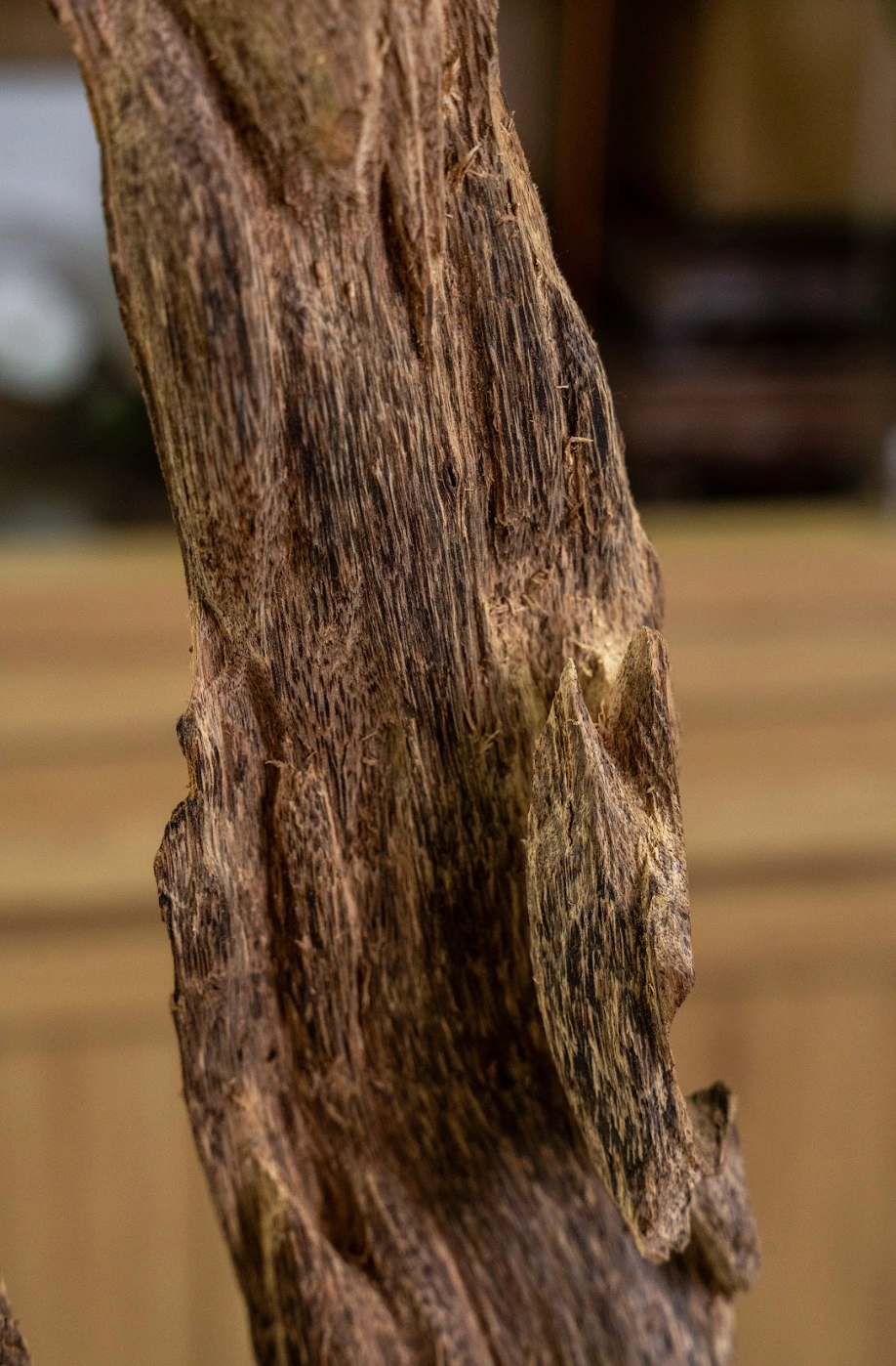 Trầm Hương Cảnh Tự Nhiên Mộc Trầm – Nguyên Khối – Độc Bản Núi Rừng Cao 53 cm