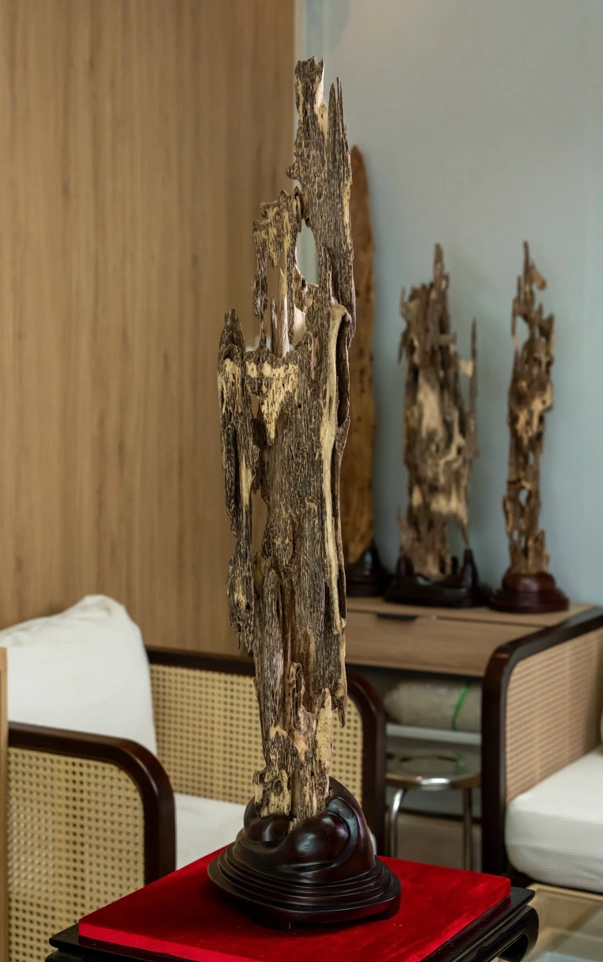 Khối Trầm Hương Cảnh Mộc Trầm – Trầm cảnh kiến, nguyên khối cao 86 cm vân dầu và hương thơm rõ