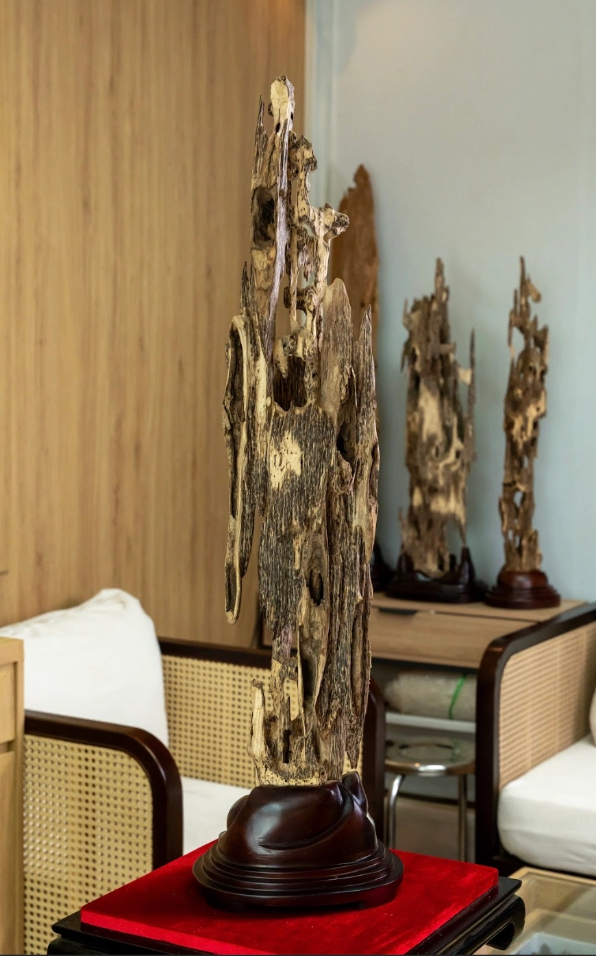 Khối Trầm Hương Cảnh Mộc Trầm – Trầm cảnh kiến, nguyên khối cao 86 cm vân dầu và hương thơm rõ